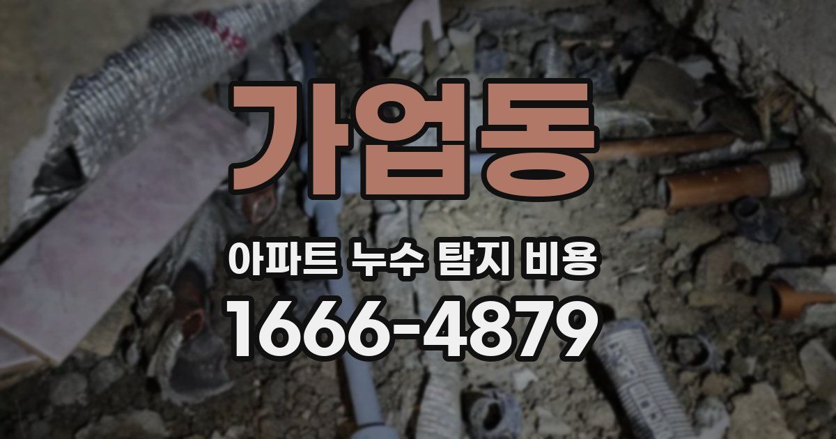 가업동 아파트 누수 탐지 비용