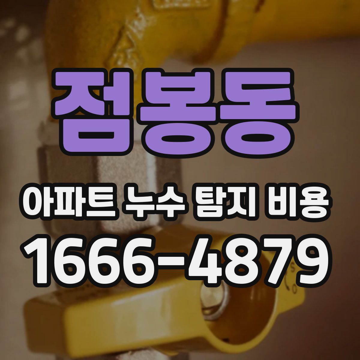 점봉동 아파트 누수 탐지 비용