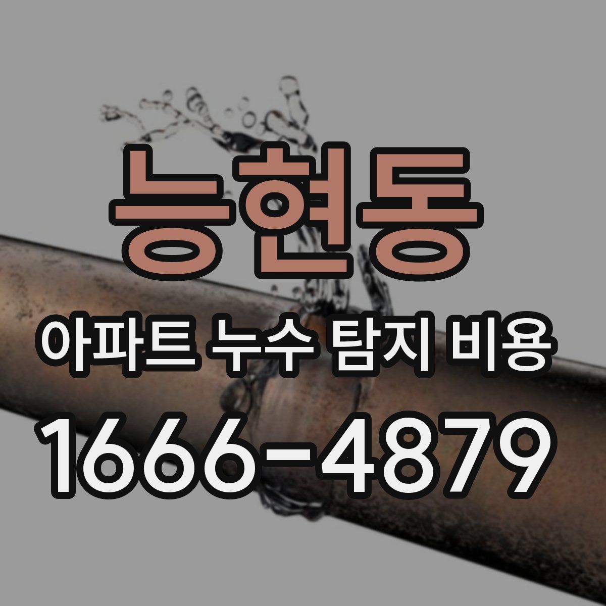능현동 아파트 누수 탐지 비용