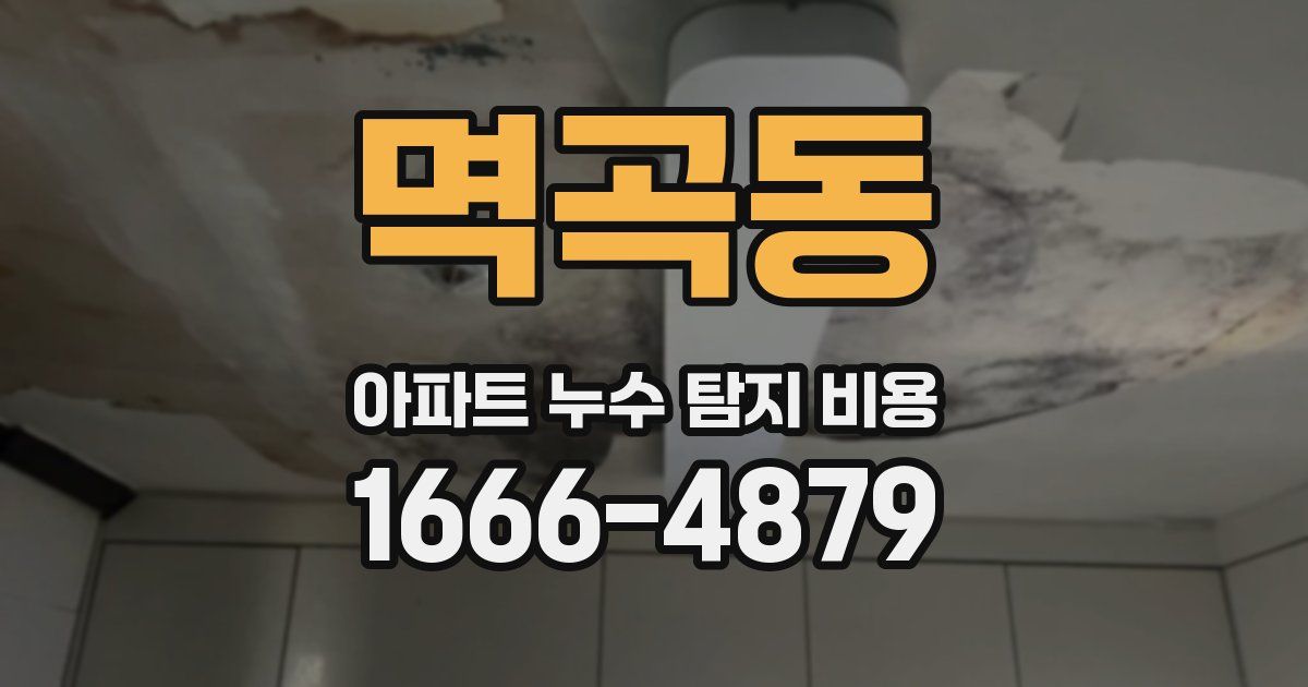 멱곡동 아파트 누수 탐지 비용