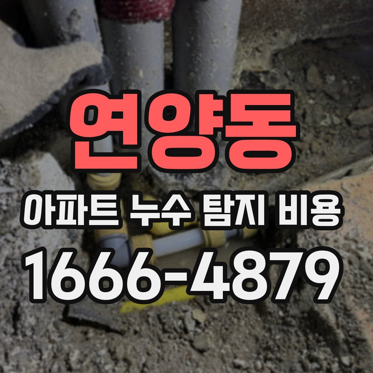 연양동 아파트 누수 탐지 비용