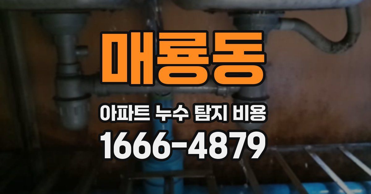 매룡동 아파트 누수 탐지 비용
