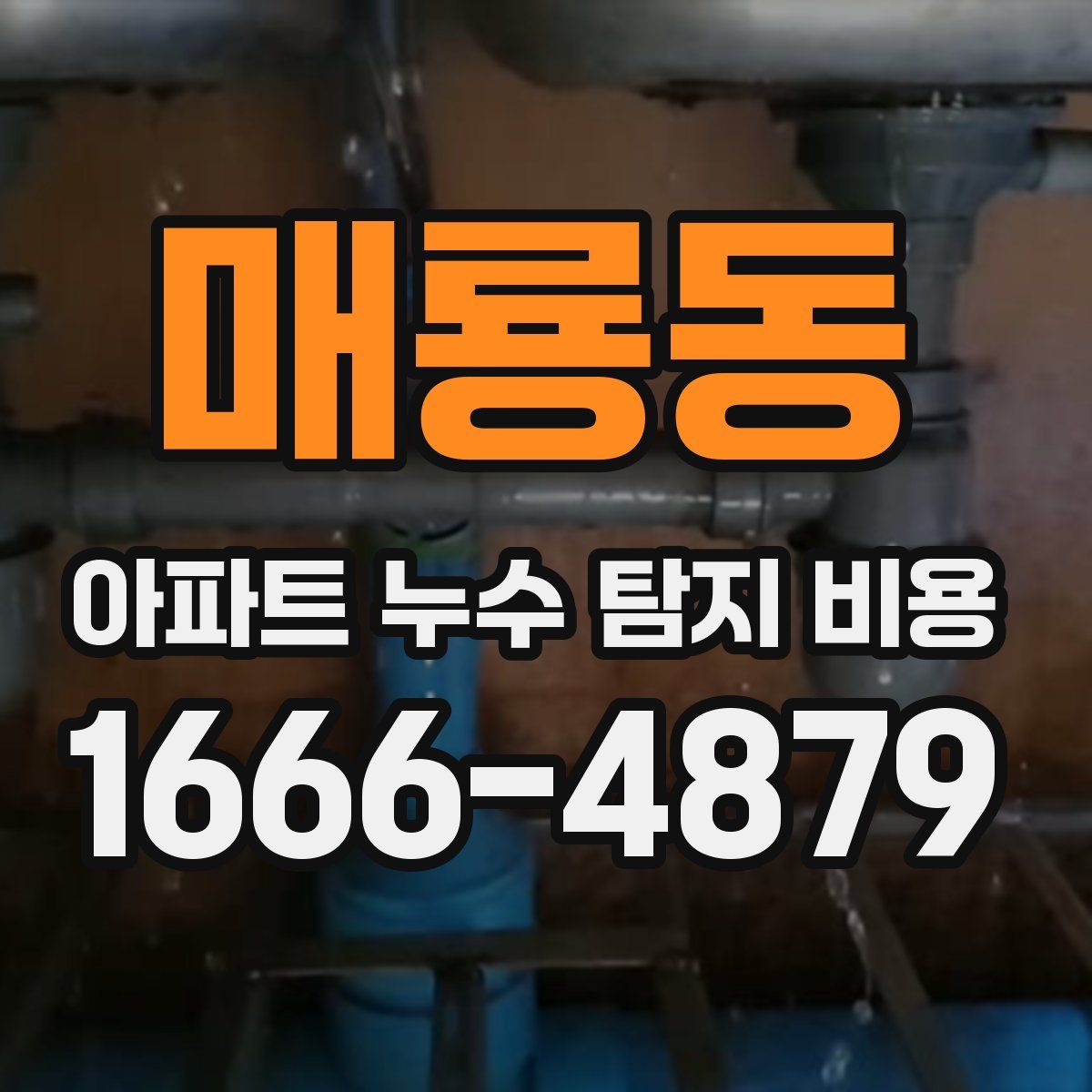 매룡동 아파트 누수 탐지 비용