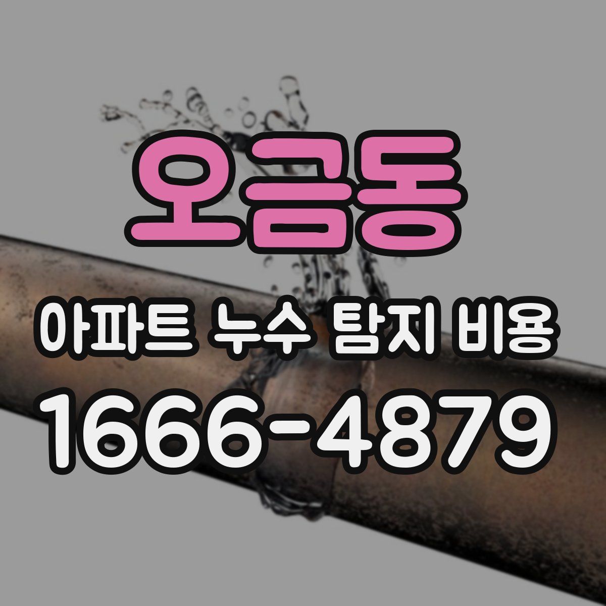 오금동 아파트 누수 탐지 비용