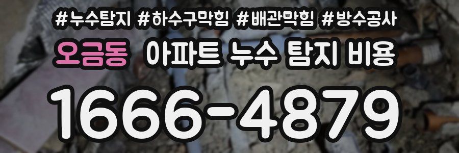 오금동 아파트 누수 탐지 비용