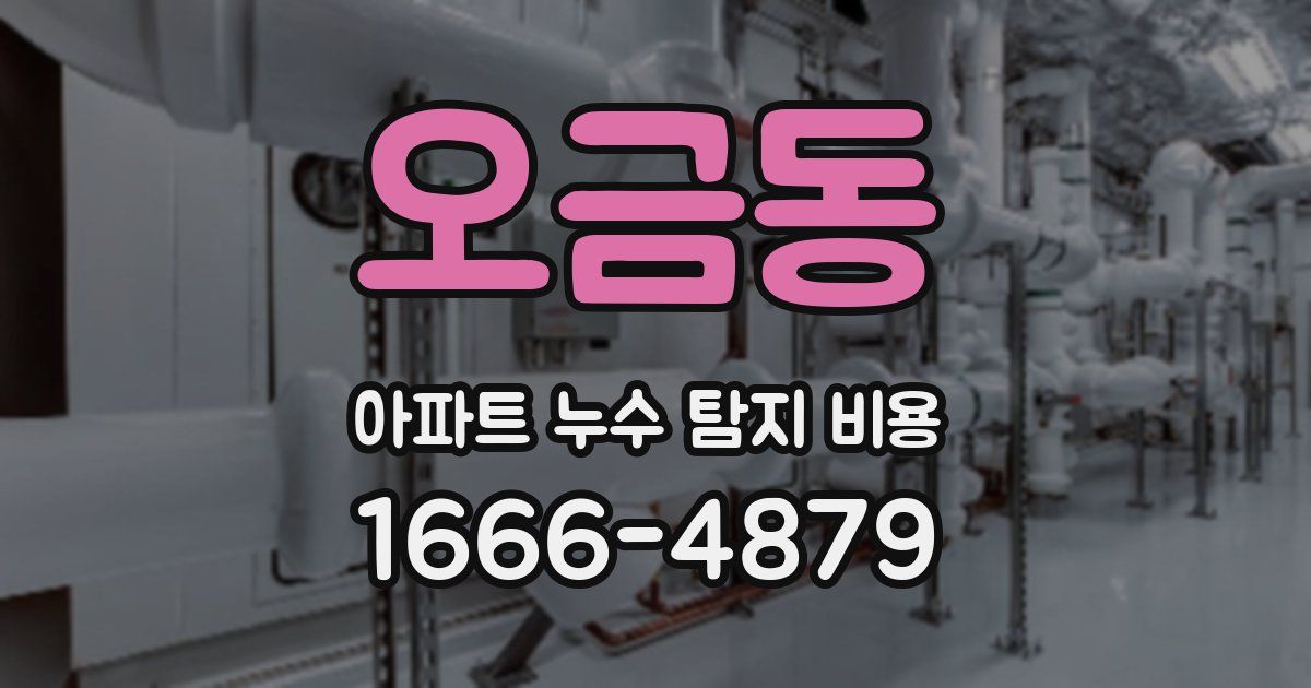 오금동 아파트 누수 탐지 비용
