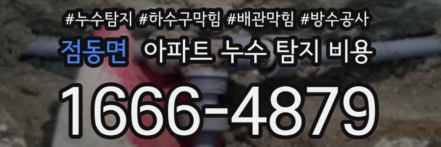 점동면 아파트 누수 탐지 비용