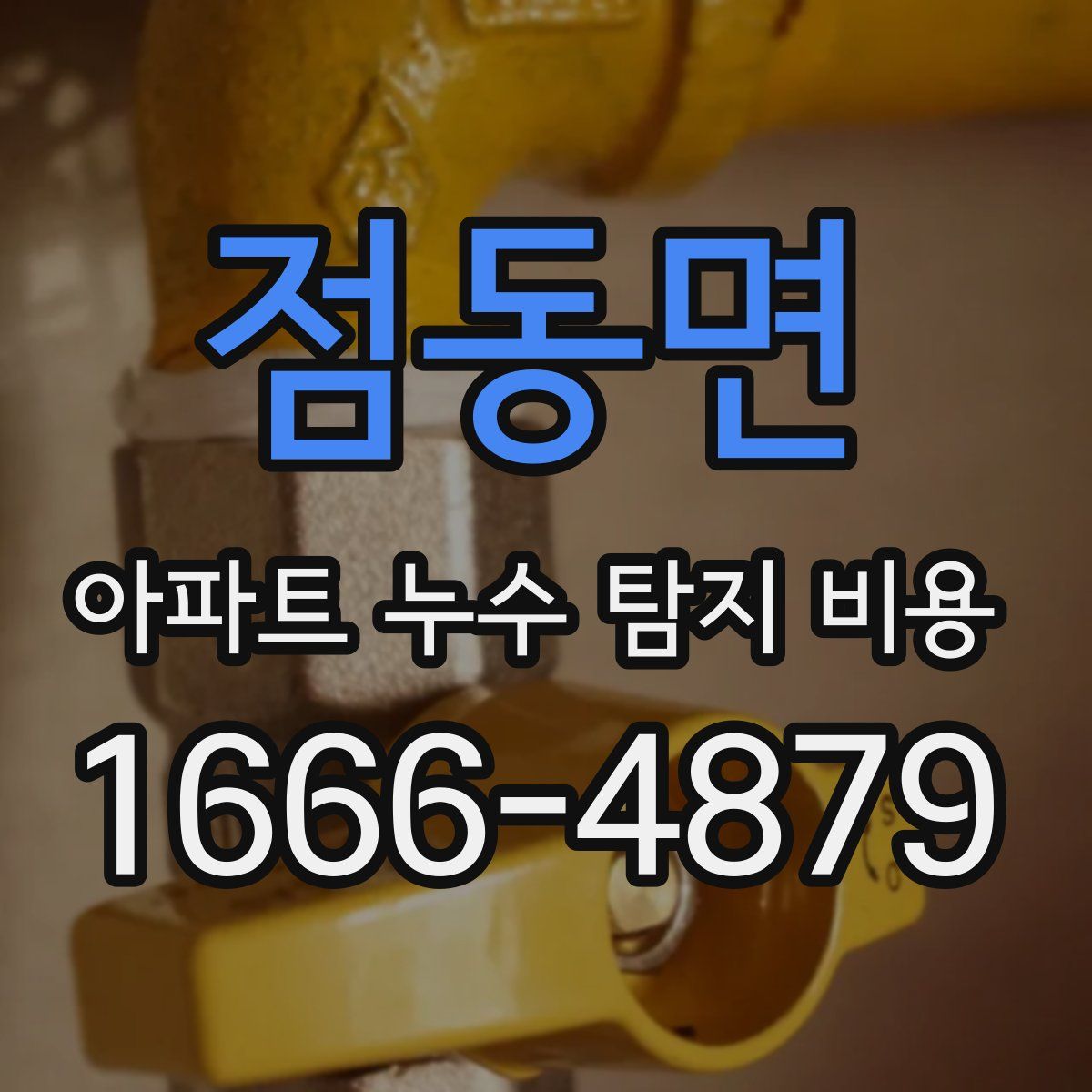 점동면 아파트 누수 탐지 비용