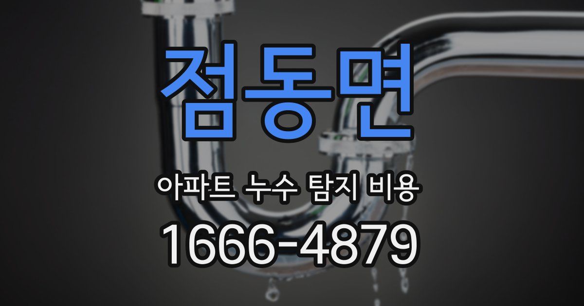 점동면 아파트 누수 탐지 비용