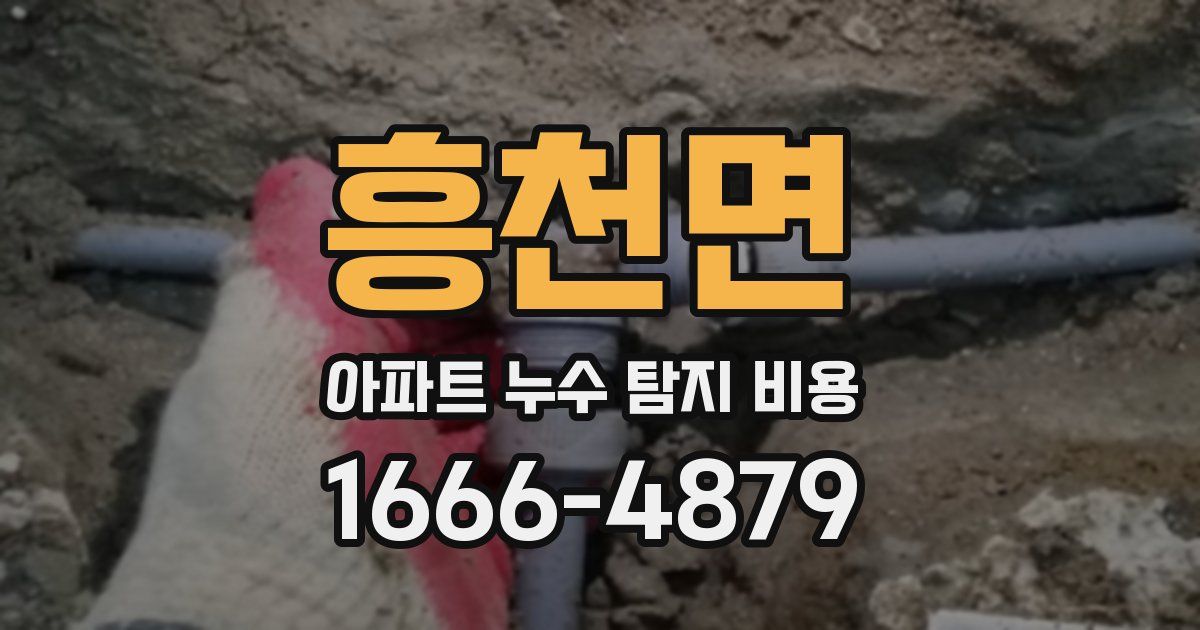 흥천면 아파트 누수 탐지 비용