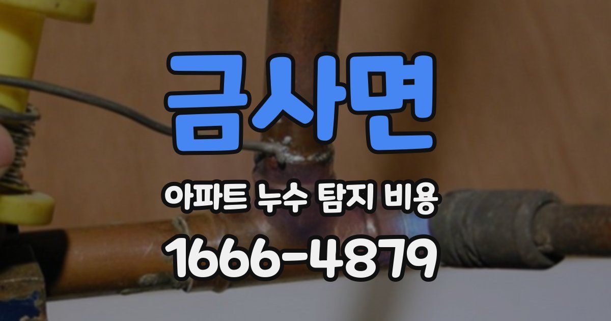 금사면 아파트 누수 탐지 비용