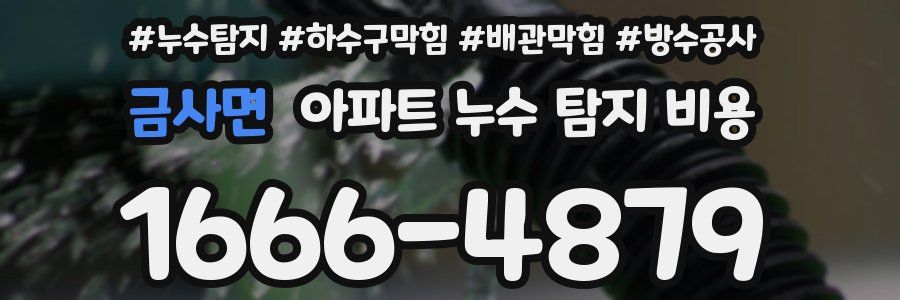 금사면 아파트 누수 탐지 비용
