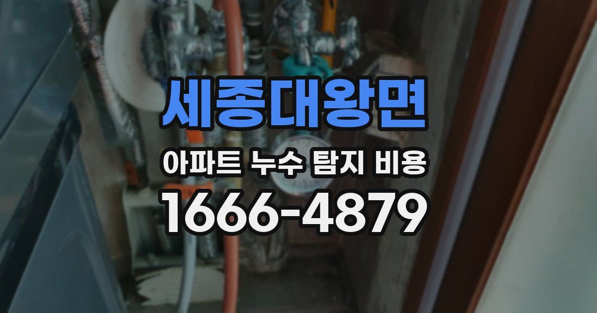 세종대왕면 아파트 누수 탐지 비용