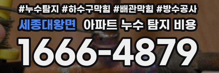 세종대왕면 아파트 누수 탐지 비용