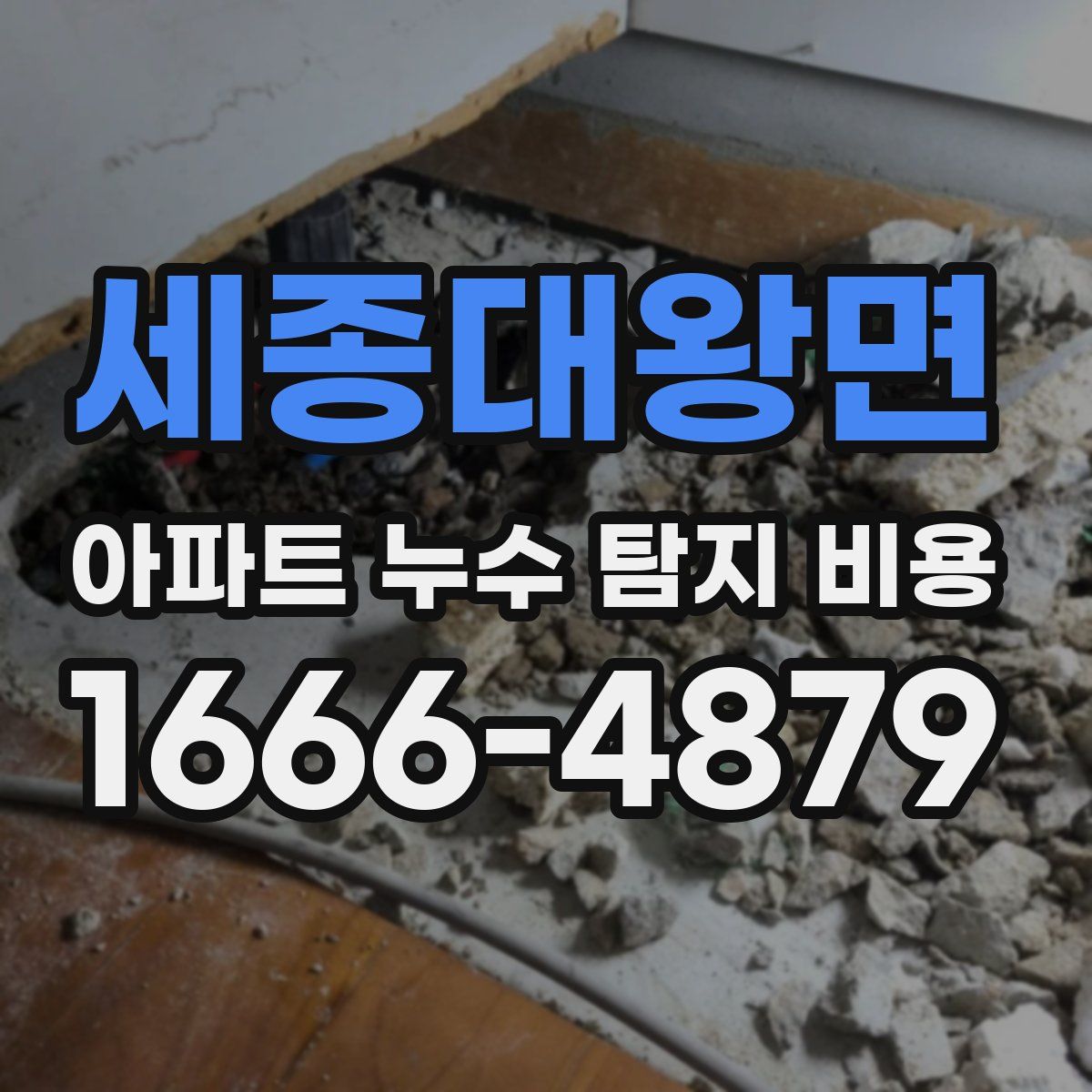 세종대왕면 아파트 누수 탐지 비용