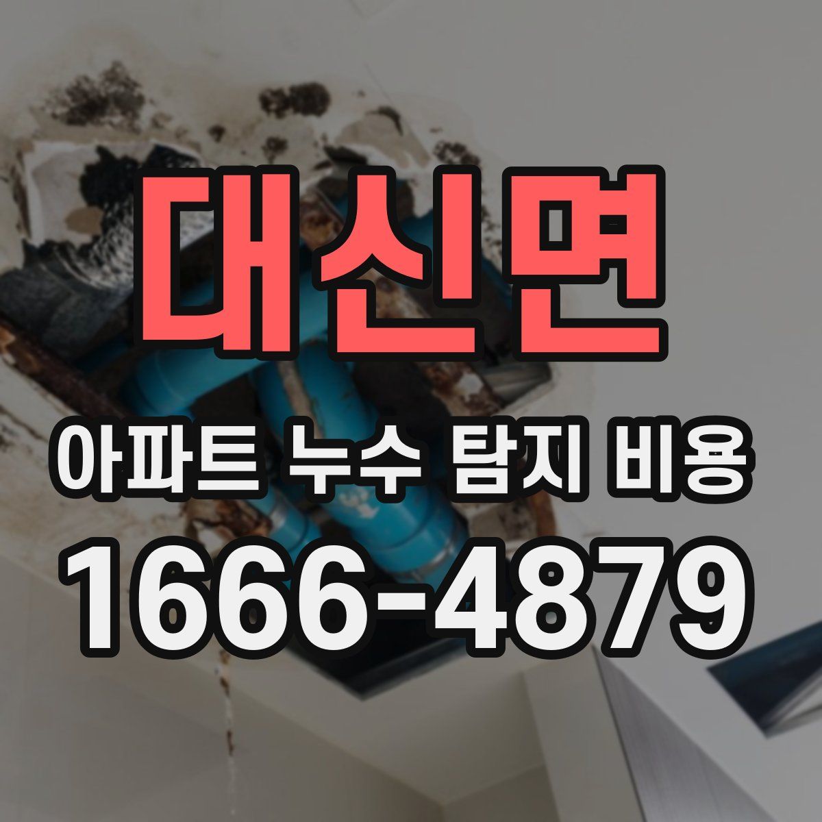 대신면 아파트 누수 탐지 비용