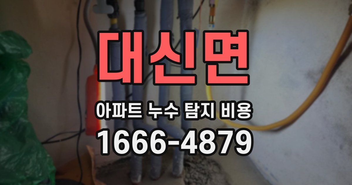 대신면 아파트 누수 탐지 비용