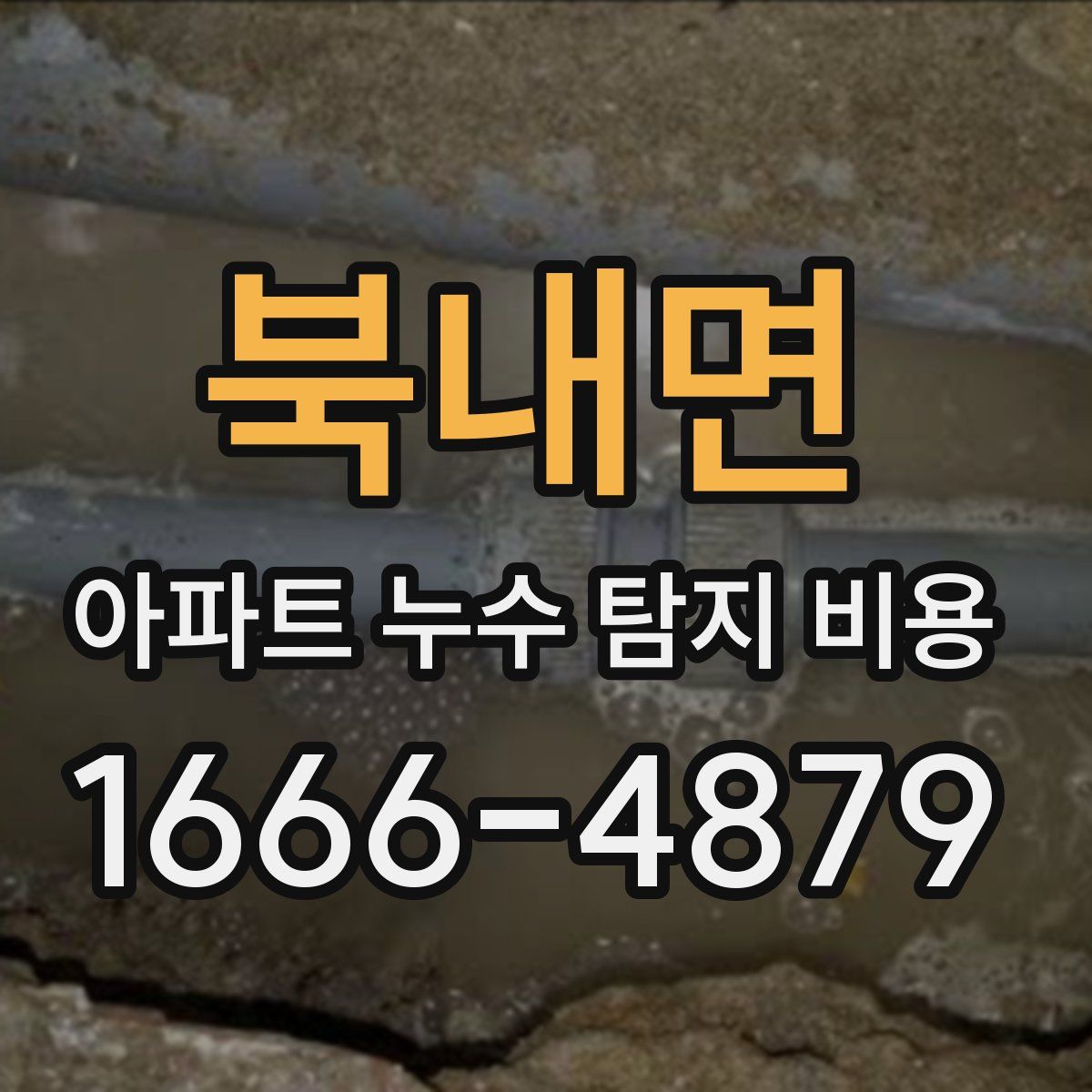 북내면 아파트 누수 탐지 비용