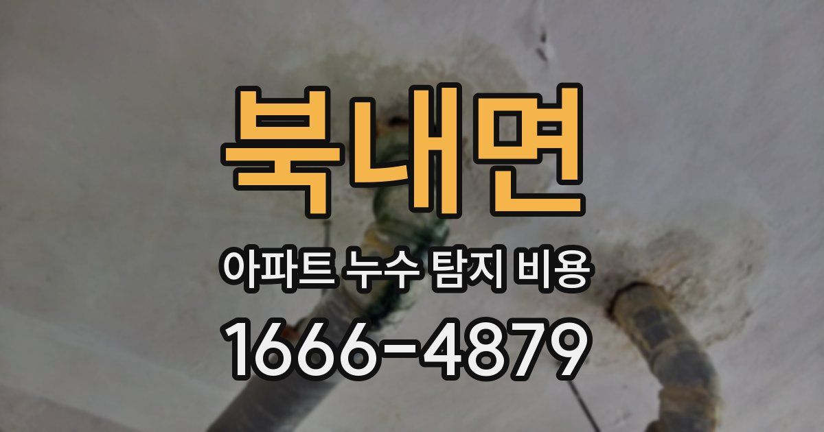 북내면 아파트 누수 탐지 비용