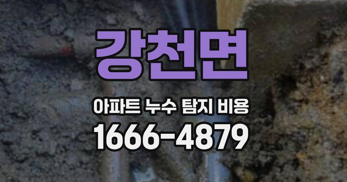 강천면 아파트 누수 탐지 비용