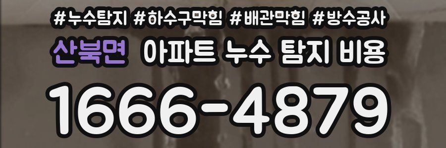 산북면 아파트 누수 탐지 비용