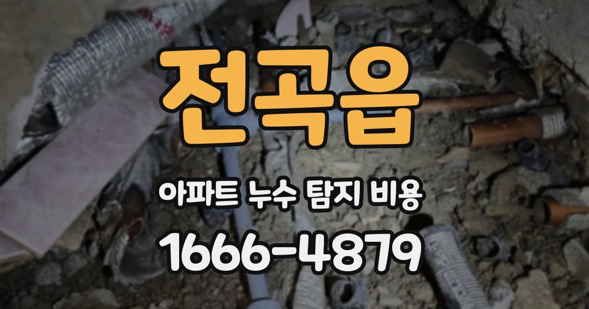 전곡읍 아파트 누수 탐지 비용