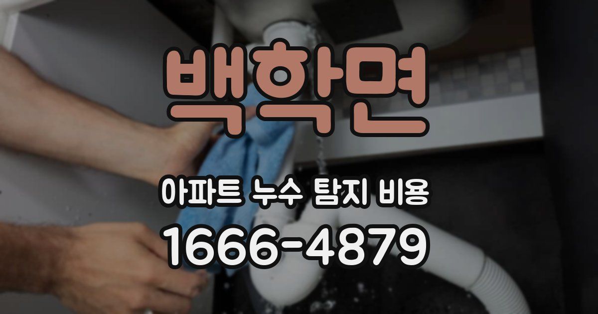 백학면 아파트 누수 탐지 비용