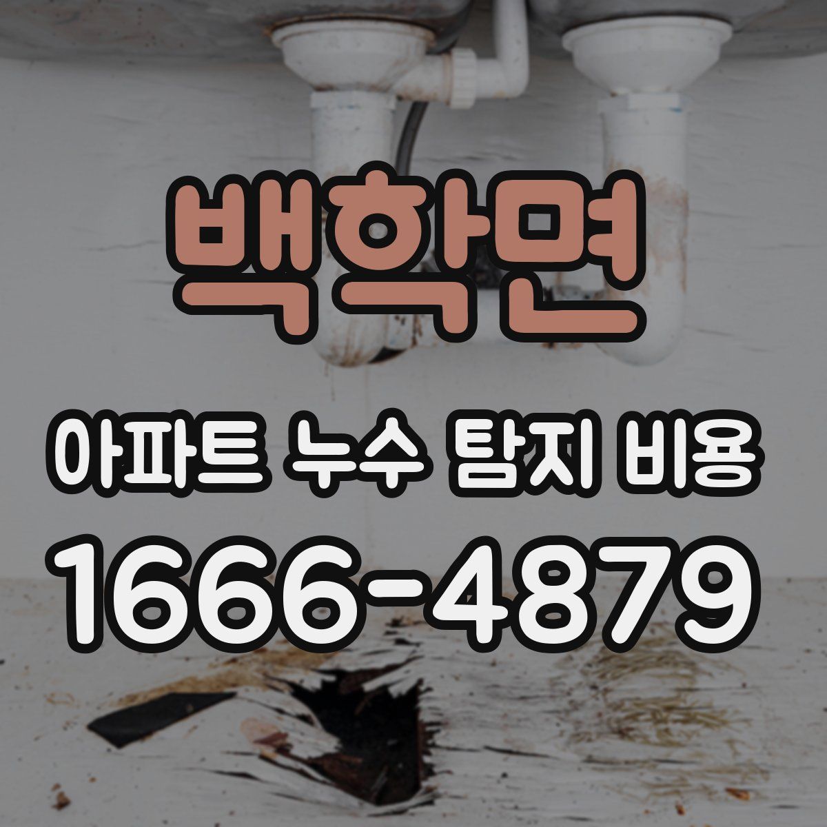 백학면 아파트 누수 탐지 비용