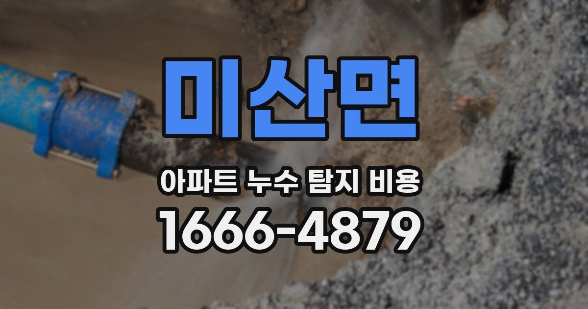 미산면 아파트 누수 탐지 비용