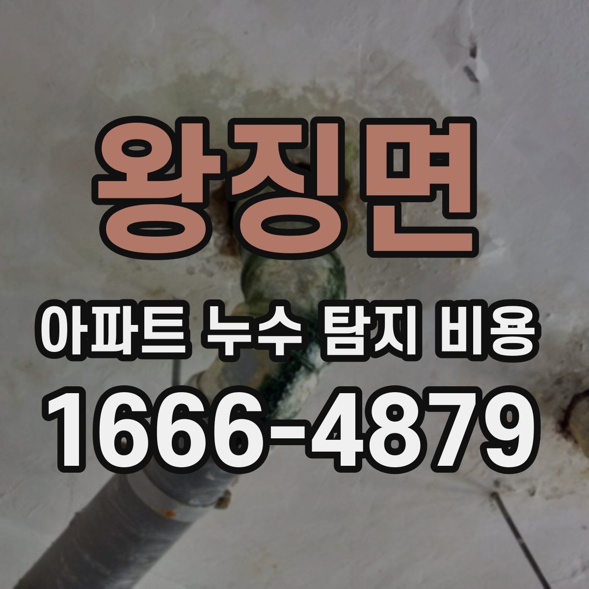 왕징면 아파트 누수 탐지 비용