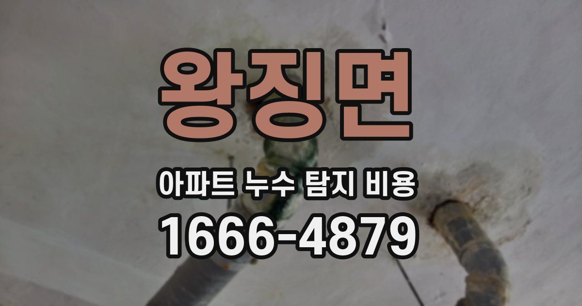 왕징면 아파트 누수 탐지 비용