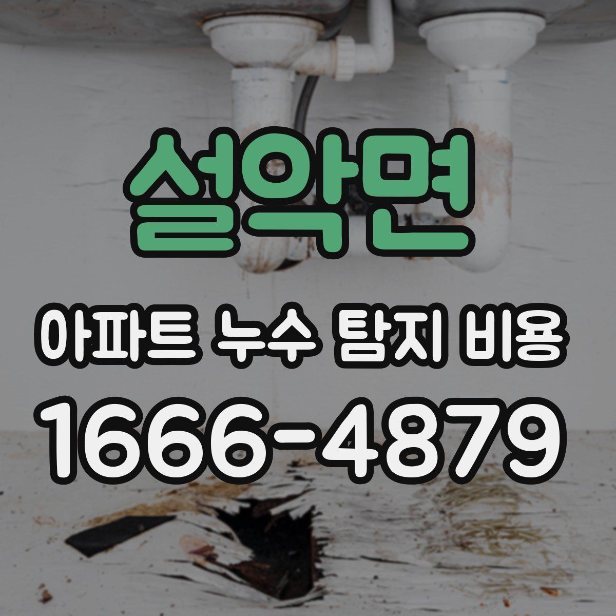 설악면 아파트 누수 탐지 비용