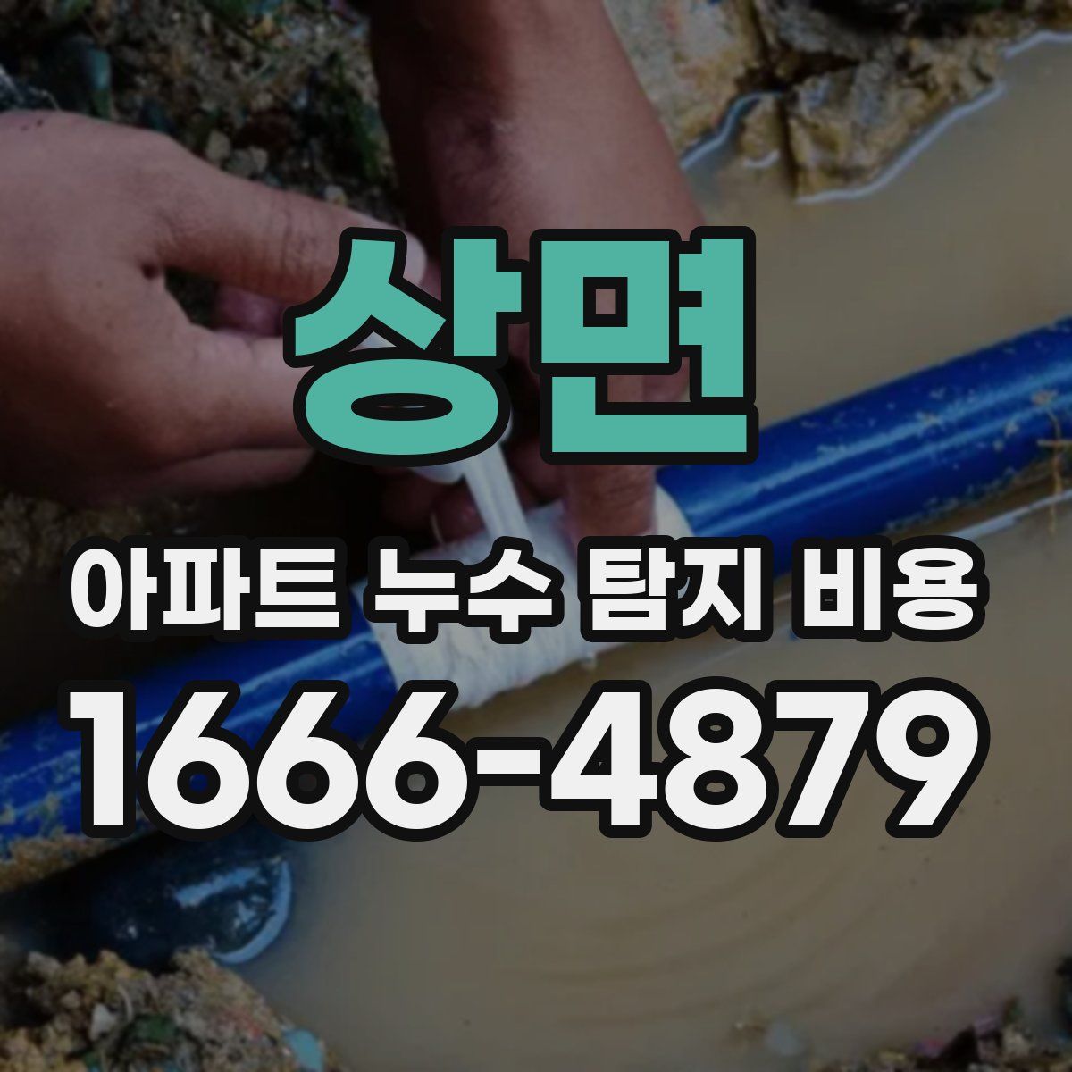 상면 아파트 누수 탐지 비용