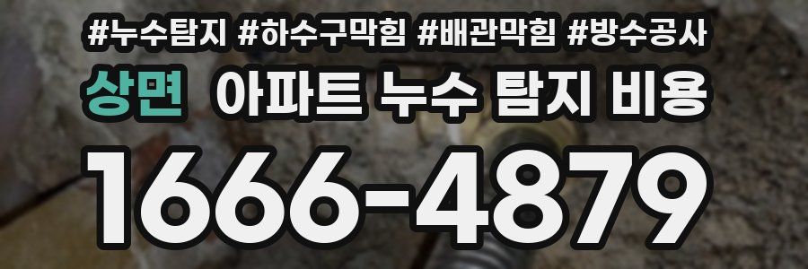상면 아파트 누수 탐지 비용