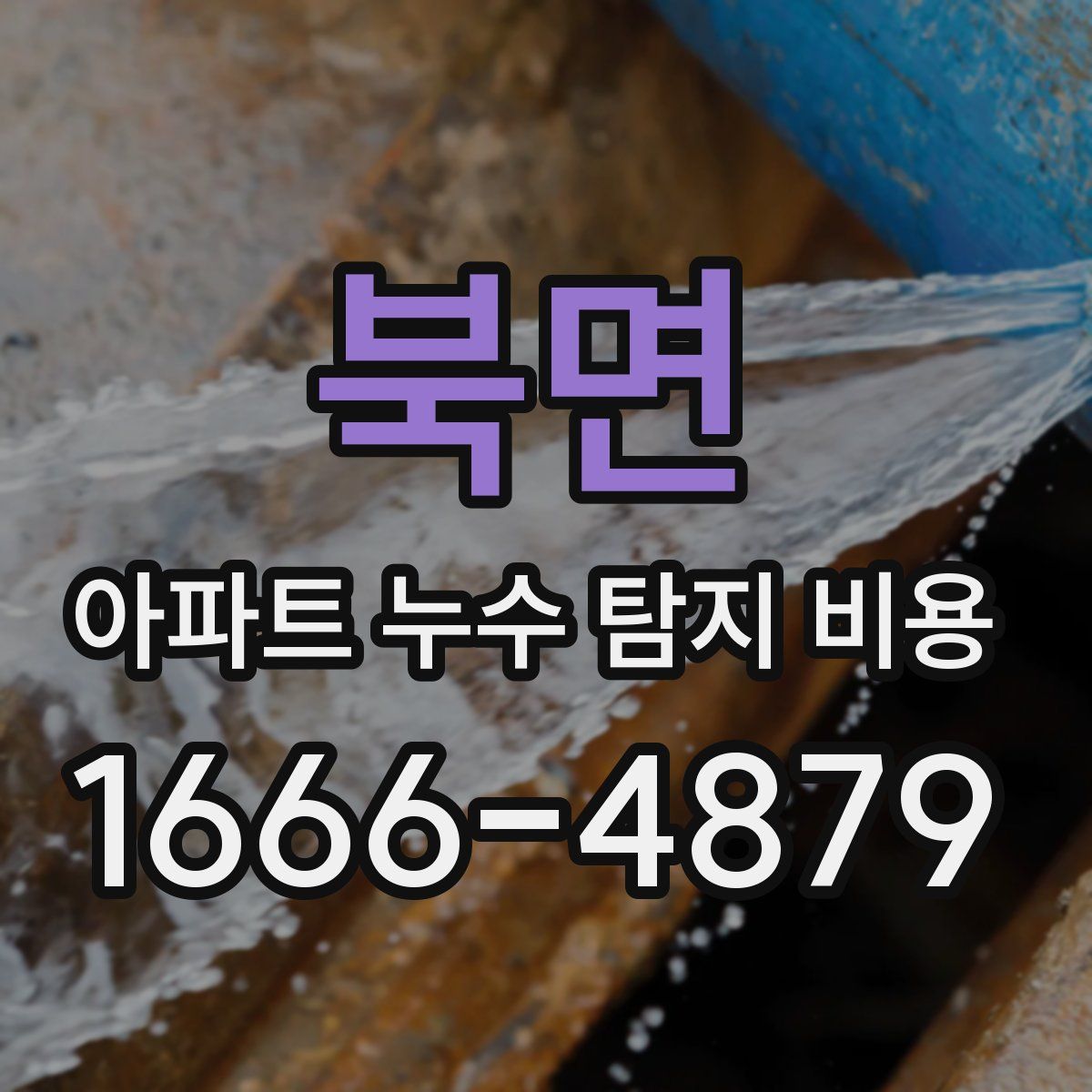 북면 아파트 누수 탐지 비용
