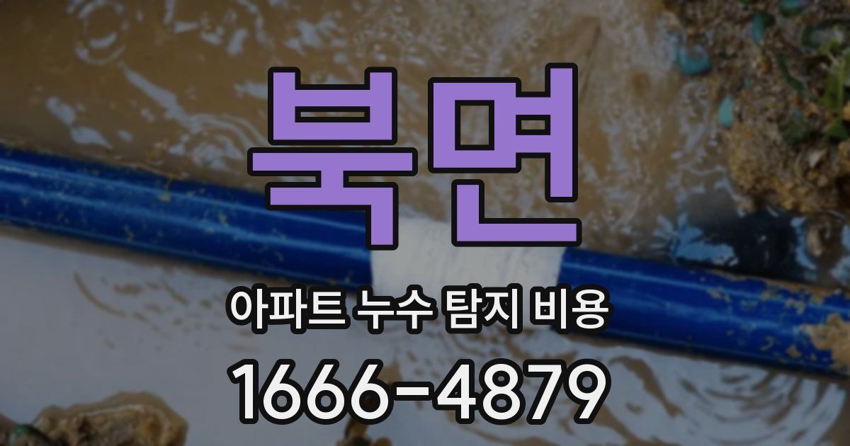 북면 아파트 누수 탐지 비용