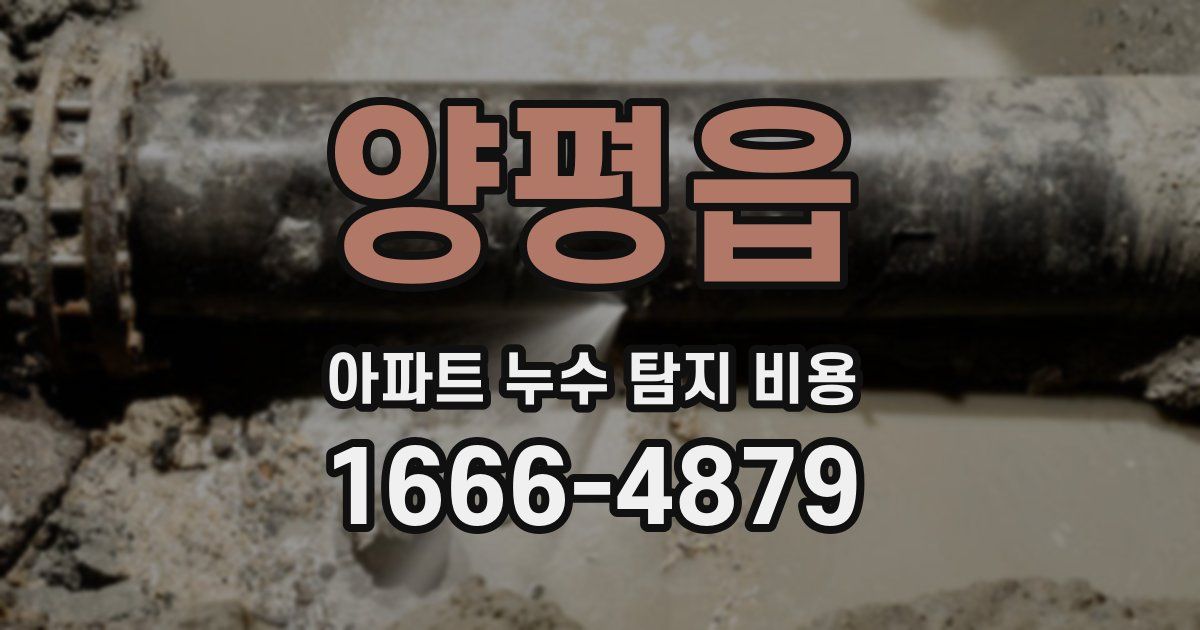 양평읍 아파트 누수 탐지 비용