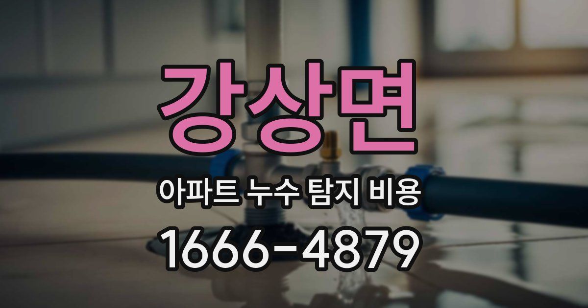 강상면 아파트 누수 탐지 비용