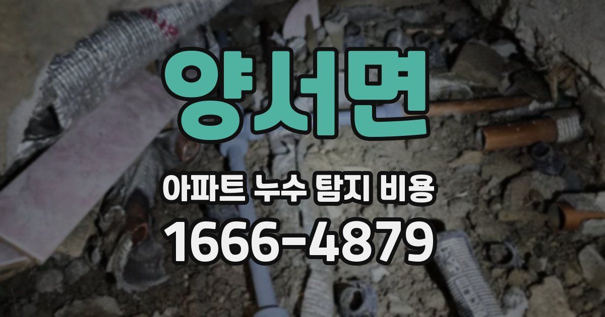 양서면 아파트 누수 탐지 비용