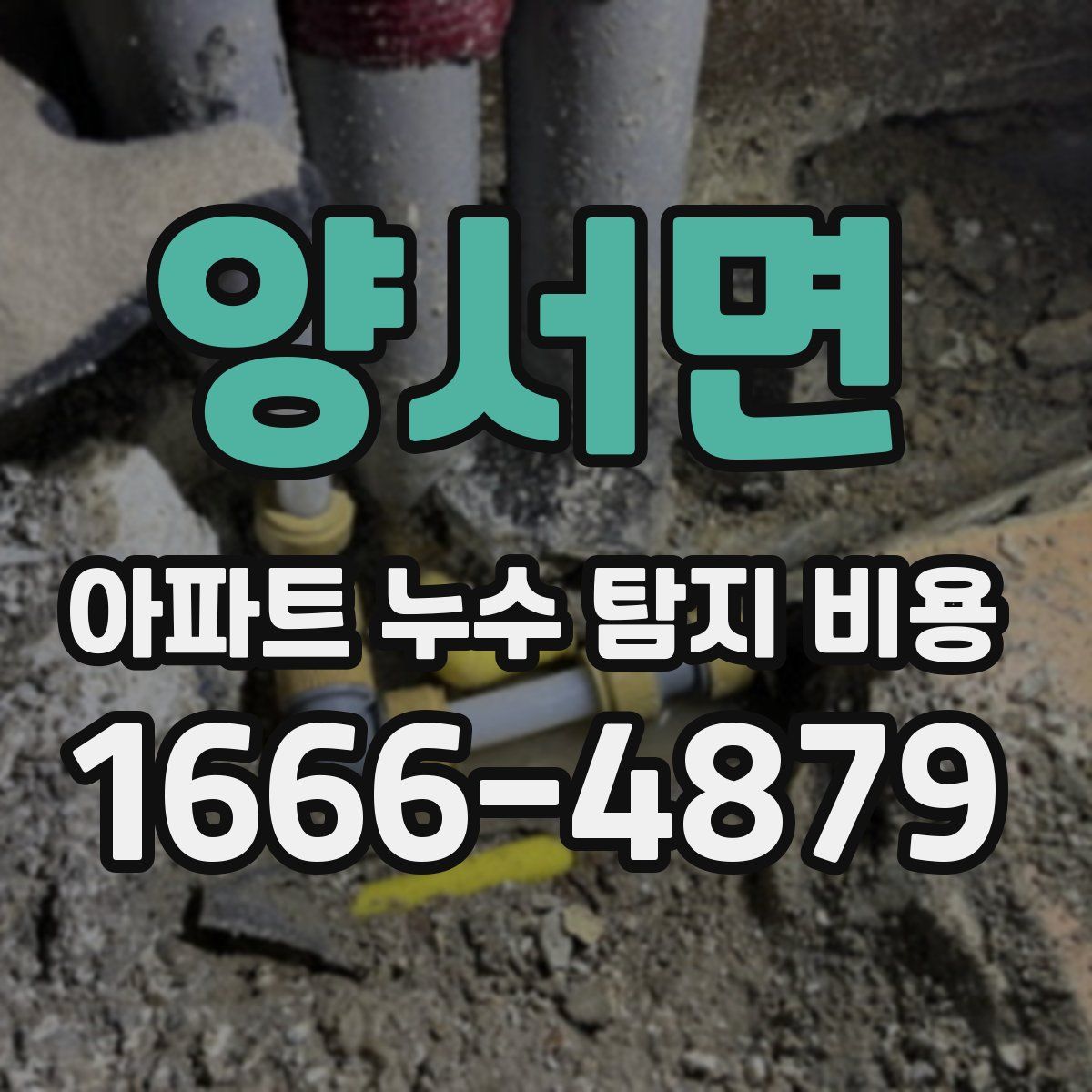 양서면 아파트 누수 탐지 비용