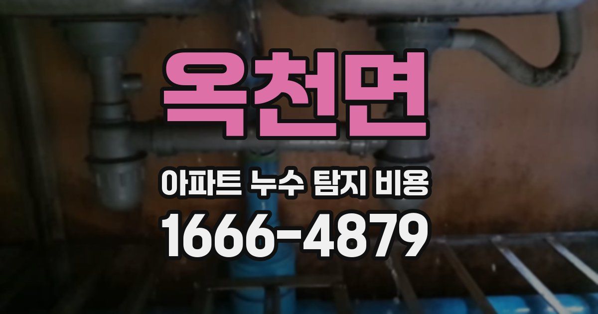 옥천면 아파트 누수 탐지 비용