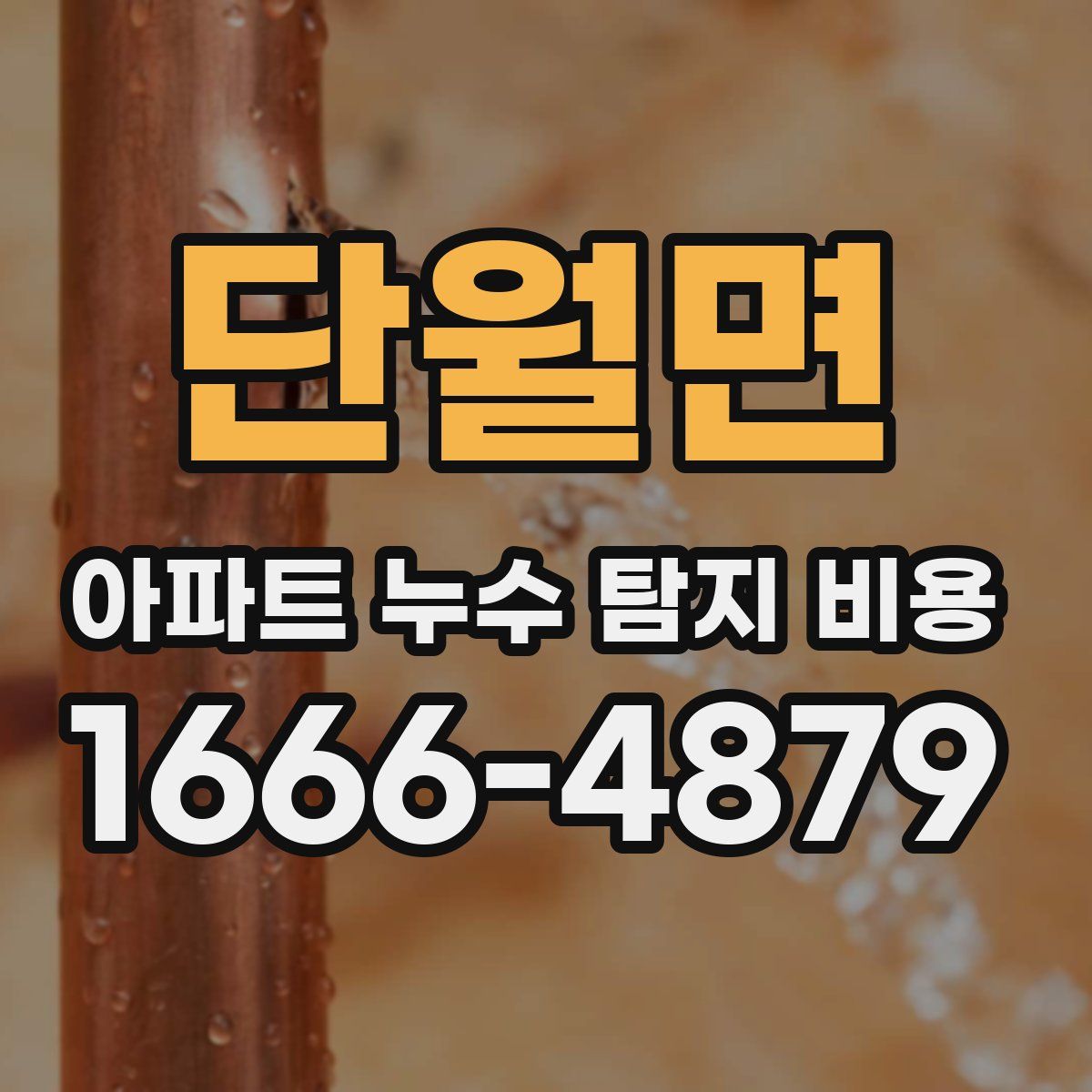 단월면 아파트 누수 탐지 비용