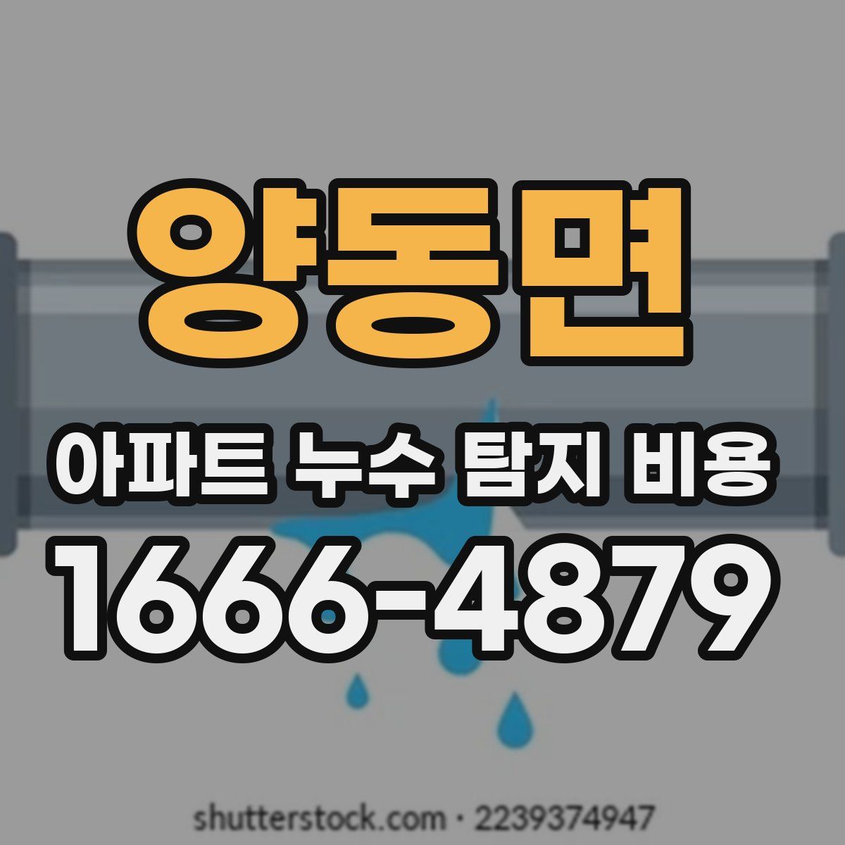 양동면 아파트 누수 탐지 비용