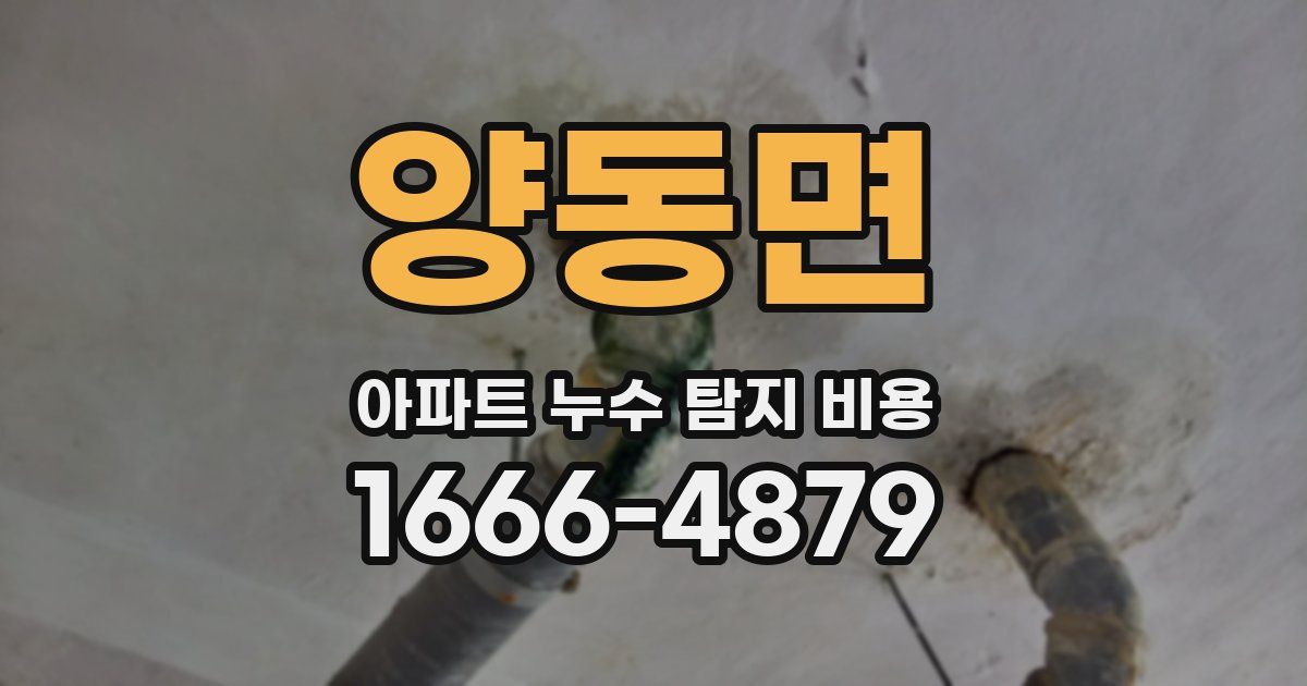 양동면 아파트 누수 탐지 비용