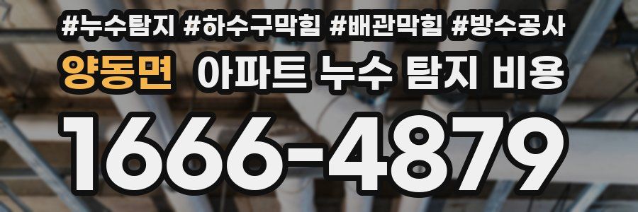 양동면 아파트 누수 탐지 비용
