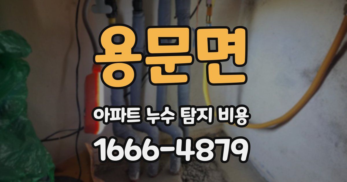 용문면 아파트 누수 탐지 비용