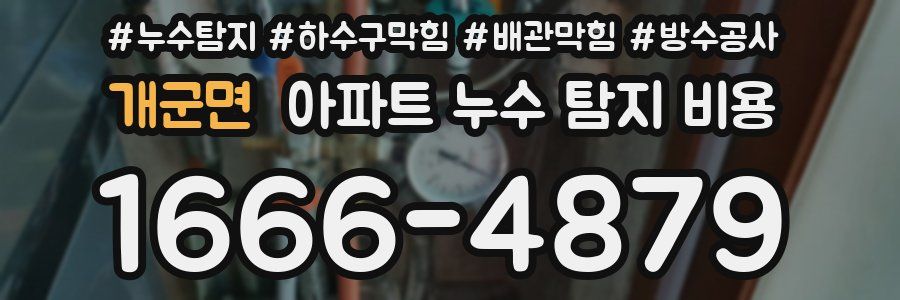 개군면 아파트 누수 탐지 비용