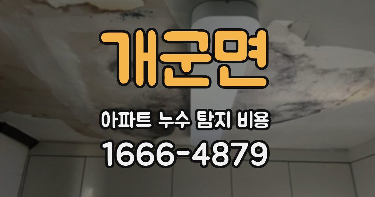 개군면 아파트 누수 탐지 비용