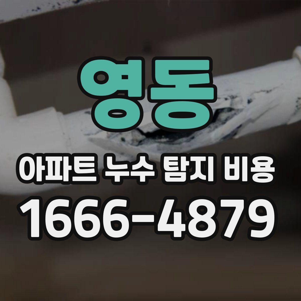 영동 아파트 누수 탐지 비용
