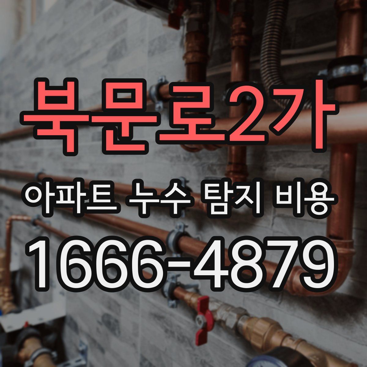 북문로2가 아파트 누수 탐지 비용